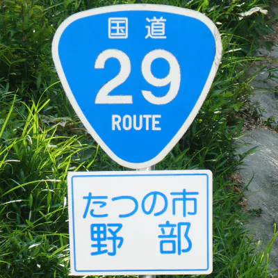 R029