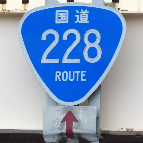 R228