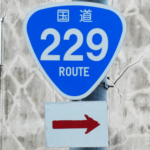 R229