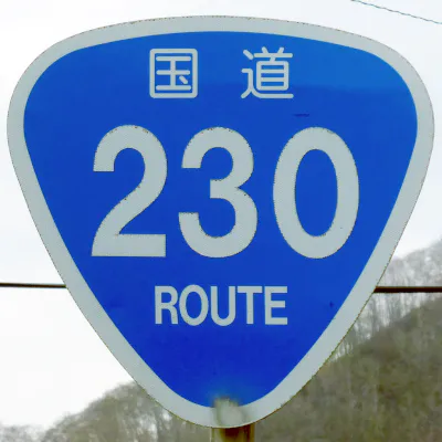 R230