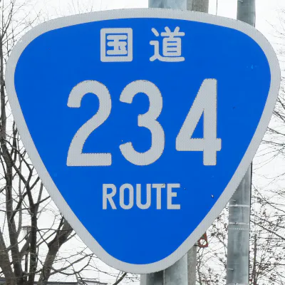 R234