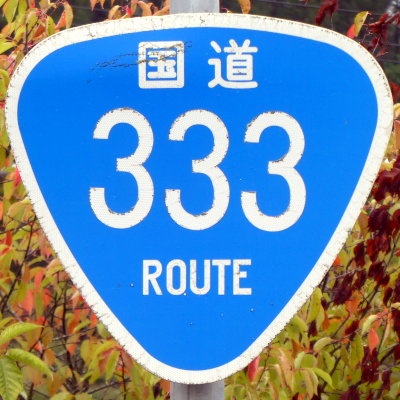 R333