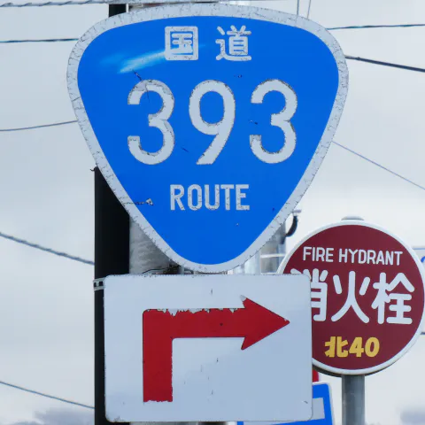 R393