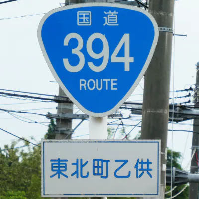 R394